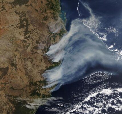 na-dymie-z-australijskich-pozarow-urosly-oceaniczne-glony,-ktore-pochlaniaja-tony-dwutlenku-wegla