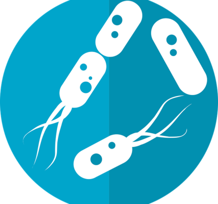 Terapia Mikrobiomu w Leczeniu Alergii: Jak Bakterie Jelita Mogą Wpłynąć na Naszą Odpowiedź Immunologiczną? - 3 2024