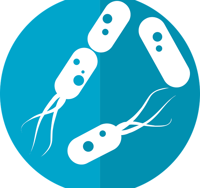 Terapia Mikrobiomu w Leczeniu Alergii: Jak Bakterie Jelita Mogą Wpłynąć na Naszą Odpowiedź Immunologiczną? - 1 2024