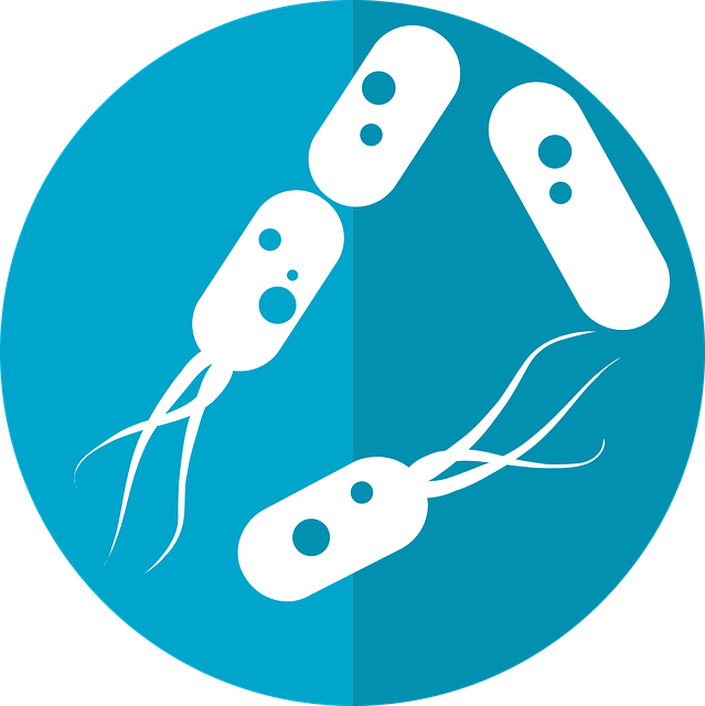 Terapia Mikrobiomu w Leczeniu Alergii: Jak Bakterie Jelita Mogą Wpłynąć na Naszą Odpowiedź Immunologiczną? - 11 2024