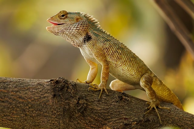 Jak stworzyć ogród z roślinami odstraszającymi szkodniki, aby naturalnie chronić uprawy przed chorobami i insektami? - 7 2024