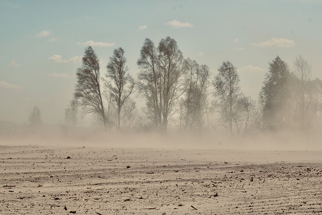 Ciekawostki o Niezwykłych Zjawiskach Związanych z Rzadkimi Zjawiskami Meteorologicznymi - 1 2025