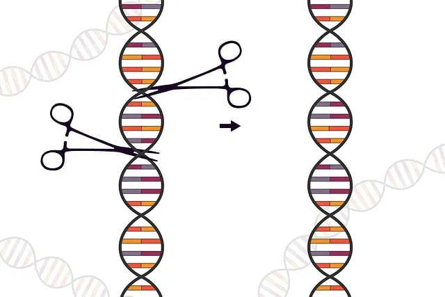 Nowe horyzonty w biotechnologii: Jak technologia CRISPR zmienia oblicze medycyny i rolnictwa? - 1 2025